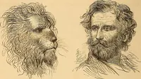 Picture 553 of 693 from New physiognomy (1867), leaf 623