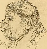 Picture 557 of 693 from New physiognomy (1867), leaf 624