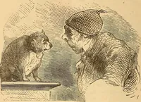 Picture 560 of 693 from New physiognomy (1867), leaf 625