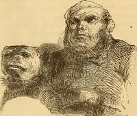 Picture 561 of 693 from New physiognomy (1867), leaf 626