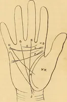 Picture 571 of 693 from New physiognomy (1867), leaf 642