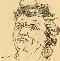 An illustration from New physiognomy (1867)
