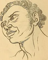 Picture 587 of 693 from New physiognomy (1867), leaf 653