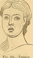 Picture 591 of 693 from New physiognomy (1867), leaf 654