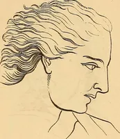 Picture 592 of 693 from New physiognomy (1867), leaf 655