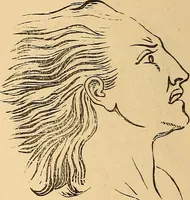 Picture 593 of 693 from New physiognomy (1867), leaf 655