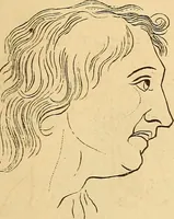 Picture 596 of 693 from New physiognomy (1867), leaf 656
