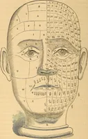 Picture 24 of 693 from New physiognomy (1867), leaf 67