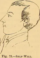 Picture 27 of 693 from New physiognomy (1867), leaf 72