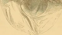 An illustration from New physiognomy (1867)