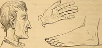 An illustration from New physiognomy (1867)