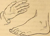 An illustration from New physiognomy (1867)
