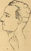 Picture 30 of 693 from New physiognomy (1867), leaf 75