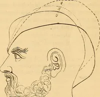 An illustration from New physiognomy (1867)