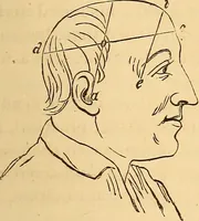 An illustration from New physiognomy (1867)