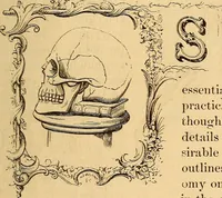 Picture 32 of 693 from New physiognomy (1867), leaf 76