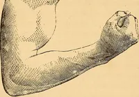 Picture 53 of 693 from New physiognomy (1867), leaf 95