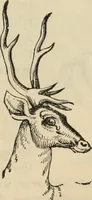 Picture 54 of 697 from New Physiognomy : or signs of character, as manifested through temperament and external forms, and especially in the "the human face divine." (1889), leaf 100
