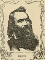 Picture 58 of 697 from New Physiognomy : or signs of character, as manifested through temperament and external forms, and especially in the "the human face divine." (1889), leaf 104