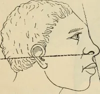 Picture 83 of 697 from New Physiognomy : or signs of character, as manifested through temperament and external forms, and especially in the "the human face divine." (1889), leaf 132