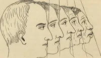 Picture 84 of 697 from New Physiognomy : or signs of character, as manifested through temperament and external forms, and especially in the "the human face divine." (1889), leaf 133
