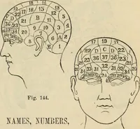 Picture 88 of 697 from New Physiognomy : or signs of character, as manifested through temperament and external forms, and especially in the "the human face divine." (1889), leaf 138