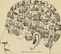 Picture 89 of 697 from New Physiognomy : or signs of character, as manifested through temperament and external forms, and especially in the "the human face divine." (1889), leaf 139
