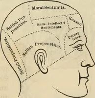Picture 105 of 697 from New Physiognomy : or signs of character, as manifested through temperament and external forms, and especially in the "the human face divine." (1889), leaf 148