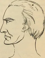 Picture 117 of 697 from New Physiognomy : or signs of character, as manifested through temperament and external forms, and especially in the "the human face divine." (1889), leaf 160