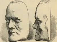 Picture 127 of 697 from New Physiognomy : or signs of character, as manifested through temperament and external forms, and especially in the "the human face divine." (1889), leaf 166