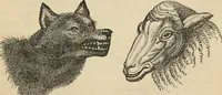 Picture 133 of 697 from New Physiognomy : or signs of character, as manifested through temperament and external forms, and especially in the "the human face divine." (1889), leaf 170