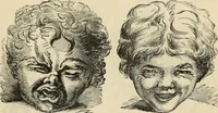 Picture 148 of 697 from New Physiognomy : or signs of character, as manifested through temperament and external forms, and especially in the "the human face divine." (1889), leaf 184