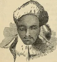 Picture 159 of 697 from New Physiognomy : or signs of character, as manifested through temperament and external forms, and especially in the "the human face divine." (1889), leaf 194
