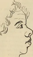 Picture 160 of 697 from New Physiognomy : or signs of character, as manifested through temperament and external forms, and especially in the "the human face divine." (1889), leaf 195