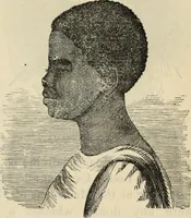 Picture 162 of 697 from New Physiognomy : or signs of character, as manifested through temperament and external forms, and especially in the "the human face divine." (1889), leaf 196