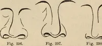 Picture 183 of 697 from New Physiognomy : or signs of character, as manifested through temperament and external forms, and especially in the "the human face divine." (1889), leaf 217