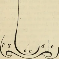 Picture 184 of 697 from New Physiognomy : or signs of character, as manifested through temperament and external forms, and especially in the "the human face divine." (1889), leaf 218