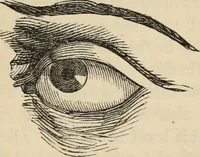 Picture 205 of 697 from New Physiognomy : or signs of character, as manifested through temperament and external forms, and especially in the "the human face divine." (1889), leaf 237