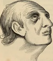 Picture 207 of 697 from New Physiognomy : or signs of character, as manifested through temperament and external forms, and especially in the "the human face divine." (1889), leaf 237