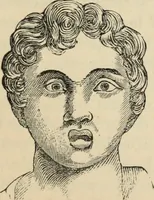 Picture 212 of 697 from New Physiognomy : or signs of character, as manifested through temperament and external forms, and especially in the "the human face divine." (1889), leaf 240