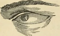 Picture 217 of 697 from New Physiognomy : or signs of character, as manifested through temperament and external forms, and especially in the "the human face divine." (1889), leaf 256
