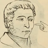 Picture 224 of 697 from New Physiognomy : or signs of character, as manifested through temperament and external forms, and especially in the "the human face divine." (1889), leaf 260