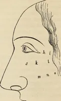 Picture 225 of 697 from New Physiognomy : or signs of character, as manifested through temperament and external forms, and especially in the "the human face divine." (1889), leaf 261