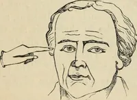 Picture 228 of 697 from New Physiognomy : or signs of character, as manifested through temperament and external forms, and especially in the "the human face divine." (1889), leaf 262