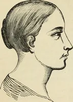 Picture 231 of 697 from New Physiognomy : or signs of character, as manifested through temperament and external forms, and especially in the "the human face divine." (1889), leaf 266