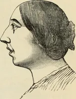 Picture 232 of 697 from New Physiognomy : or signs of character, as manifested through temperament and external forms, and especially in the "the human face divine." (1889), leaf 266