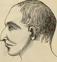 Picture 235 of 697 from New Physiognomy : or signs of character, as manifested through temperament and external forms, and especially in the "the human face divine." (1889), leaf 267