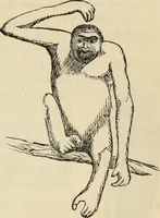 Picture 260 of 697 from New Physiognomy : or signs of character, as manifested through temperament and external forms, and especially in the "the human face divine." (1889), leaf 302