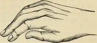 Picture 263 of 697 from New Physiognomy : or signs of character, as manifested through temperament and external forms, and especially in the "the human face divine." (1889), leaf 310