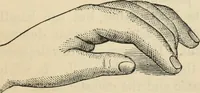 Picture 264 of 697 from New Physiognomy : or signs of character, as manifested through temperament and external forms, and especially in the "the human face divine." (1889), leaf 310